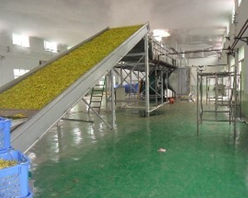 麻豆入口免费看廠家
