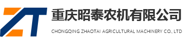 重慶麻豆入口免费看